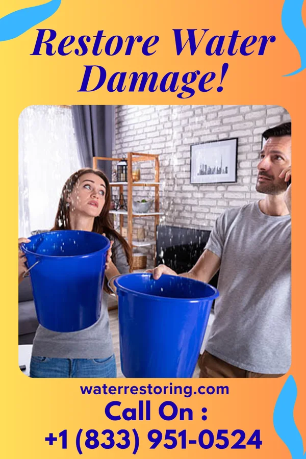 water restoration Titan Damage Recovery Authority New Baltimore