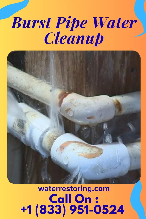 Burst Pipe Water Cleanup in New Baltimore, MI