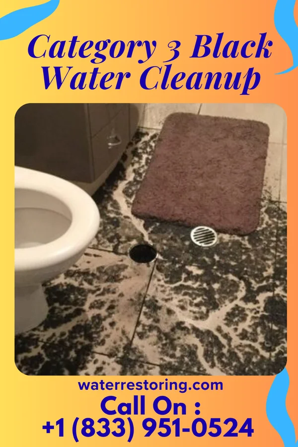 Category 3 Black Water Cleanup in New Baltimore, MI
