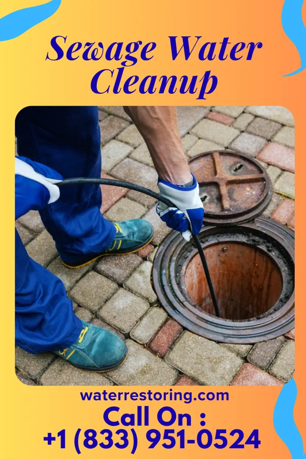 Sewage Water Cleanup in New Baltimore, MI
